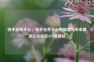 快手业务平台,快手业务平台的崛起与未来展望亿乐社区SUP货源站