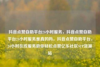 抖音点赞自助平台24小时服务,抖音点赞自助平台24小时服务是真的吗,抖音点赞自助平台,24小时在线服务助你轻松点赞亿乐社区SUP货源站