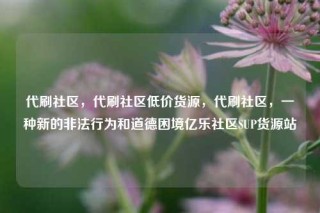 代刷社区,代刷社区低价货源,代刷社区,一种新的非法行为和道德困境亿乐社区SUP货源站