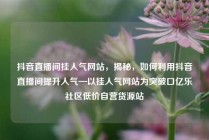 抖音直播间挂人气网站，揭秘，如何利用抖音直播间提升人气—以挂人气网站为突破口亿乐社区低价自营货源站