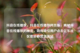 抖音在线播放,抖音在线播放网页版,揭秘抖音在线播放的秘密,如何吸引用户点击亿乐社区低价自营货源站