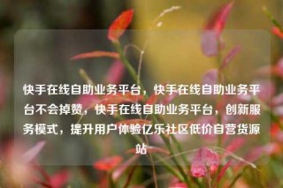 快手在线自助业务平台,快手在线自助业务平台不会掉赞,快手在线自助业务平台,创新服务模式,提升用户体验亿乐社区低价自营货源站