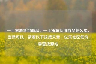 一手货源低价商品,一手货源低价商品怎么卖,当然可以,请看以下这篇文章,亿乐社区低价自营货源站