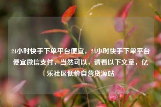 24小时快手下单平台便宜,24小时快手下单平台便宜微信支付,当然可以,请看以下文章,亿乐社区低价自营货源站