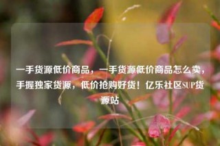 一手货源低价商品，一手货源低价商品怎么卖，手握独家货源，低价抢购好货！亿乐社区SUP货源站
