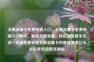 无限流量卡免费申请入口，无限流量卡免费申请入口移动，畅享无限流量，轻松享受数字生活—全国免费申请无限流量卡的便捷通道亿乐社区低价自营货源站