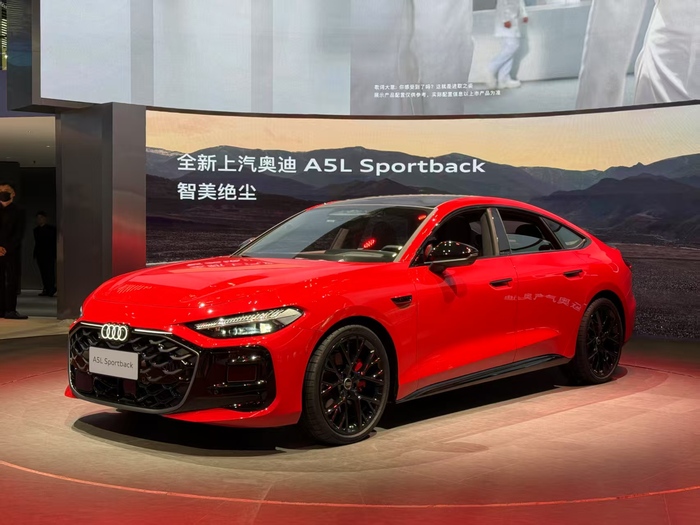 13款新车带你看上海车展最热车型｜2025上海车展  第10张