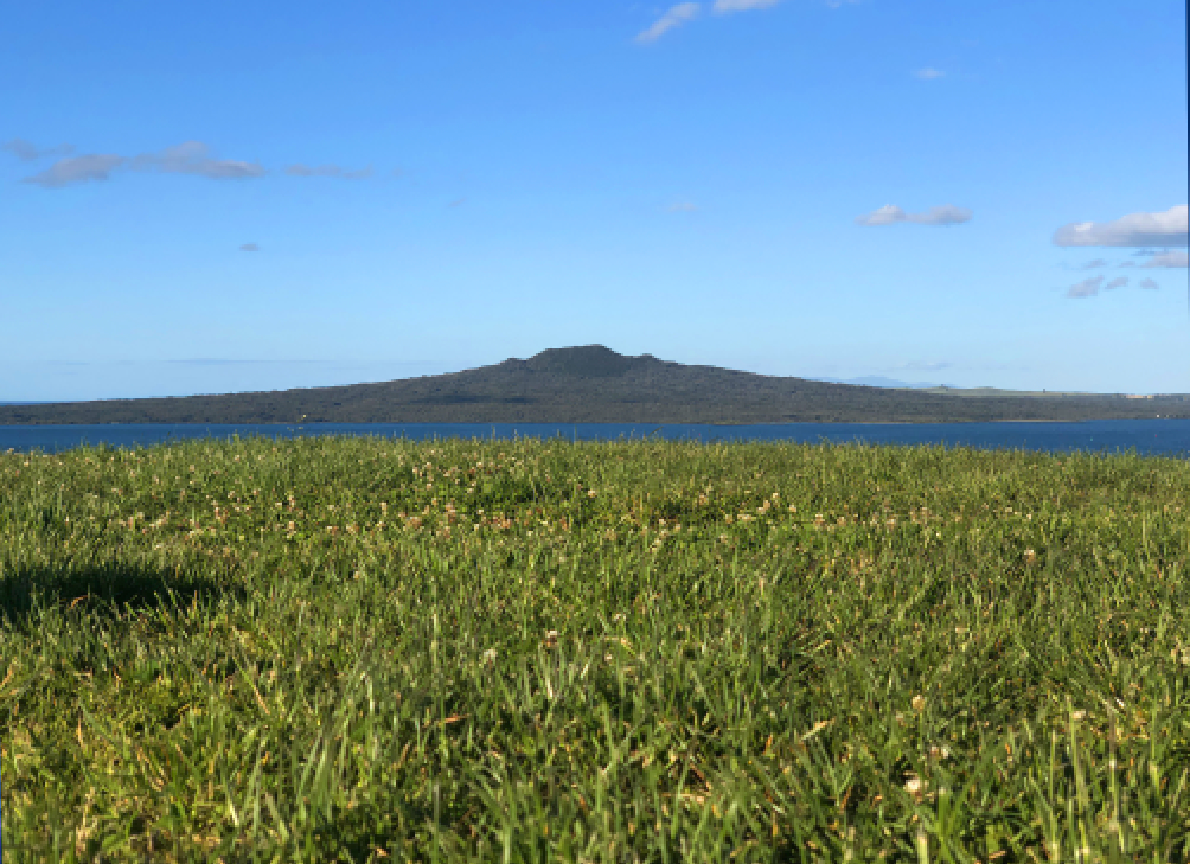 南十字星照亮天地  第6张