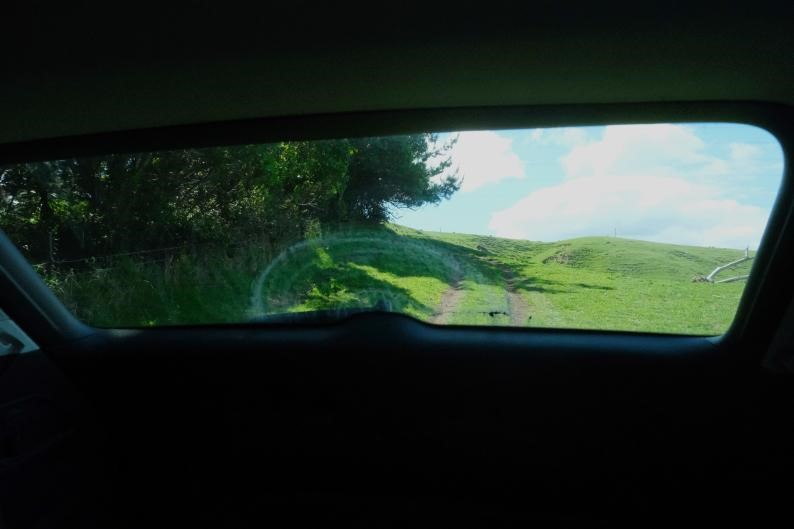 南十字星照亮天地  第8张