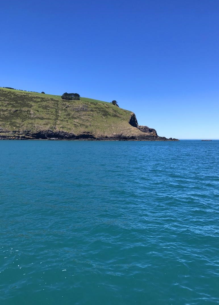 南十字星照亮天地  第11张