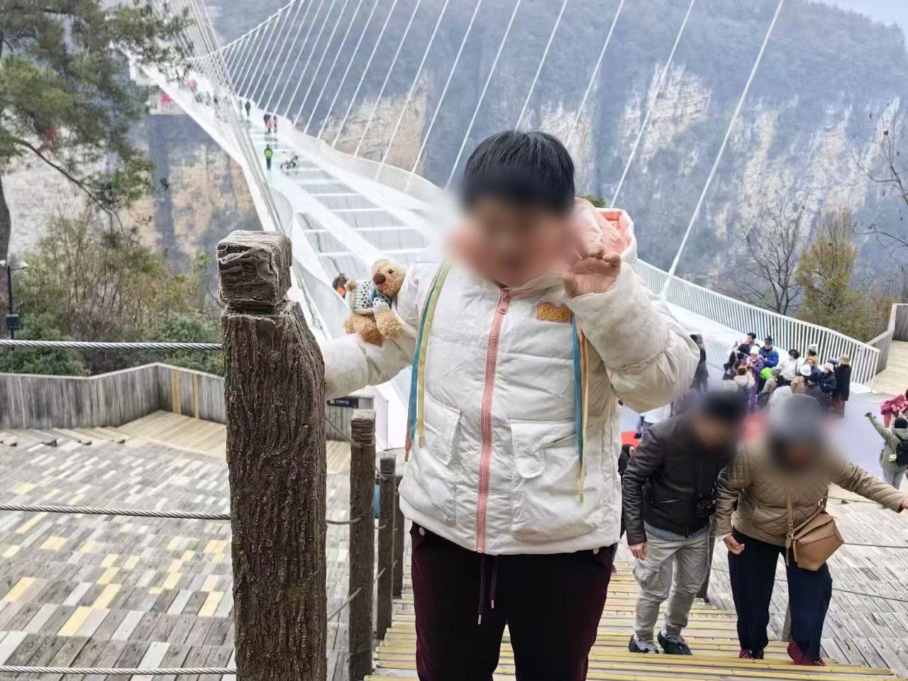 界面调查｜铁路穿村而过：一个湘西村庄与17起火车撞人事故  第2张