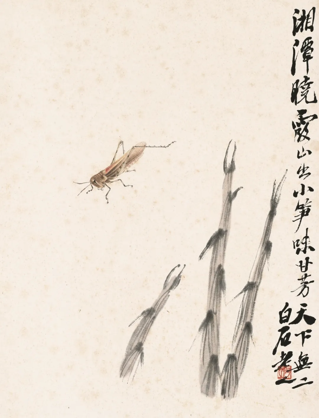 齐白石精品在波士顿展出	，“白石画屋	”呈现水墨挥洒  第21张