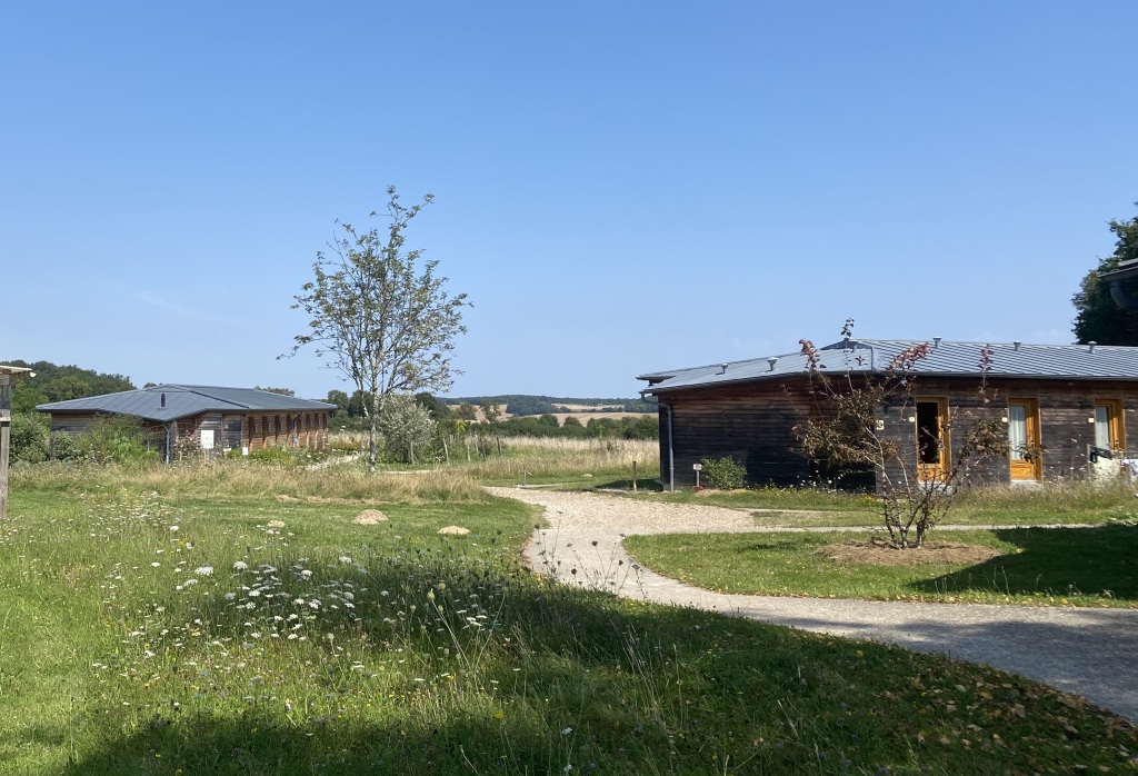 缅甸内观冥想的历史漂流：从“人民鸦片”到东方灵修  第1张