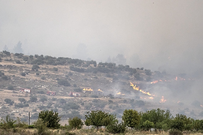 以色列因山火宣布国家紧急状态	，巴勒斯坦提出协助  第3张