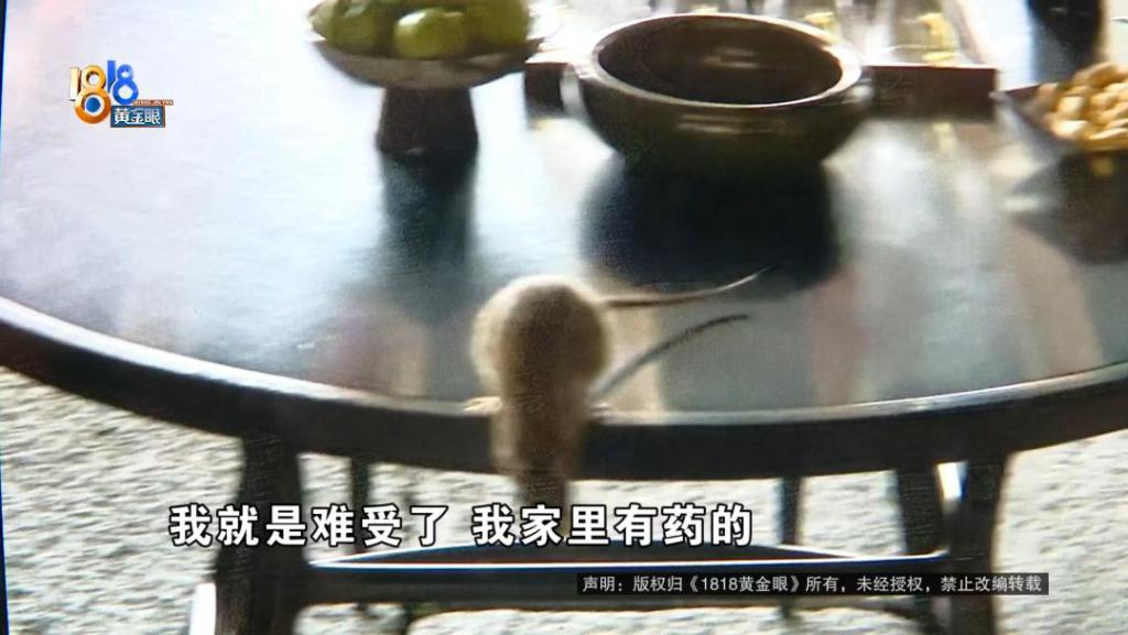 吃完饭一出包厢被大老鼠吓坏了	，当事人：退一赔十  第5张