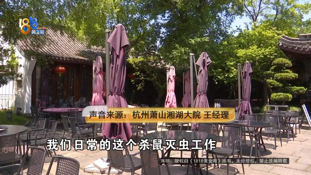 吃完饭一出包厢被大老鼠吓坏了，当事人：退一赔十  第8张