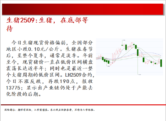 中天期货:棕榈震荡回落 白糖走势不稳  第4张 中天期货:棕榈震荡回落 白糖走势不稳  第4张
