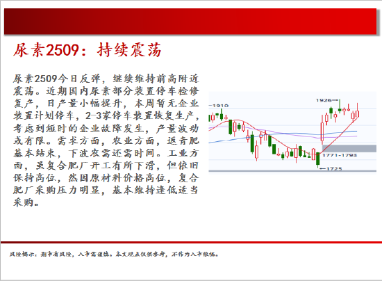 中天期货:棕榈震荡回落 白糖走势不稳  第15张 中天期货:棕榈震荡回落 白糖走势不稳  第15张
