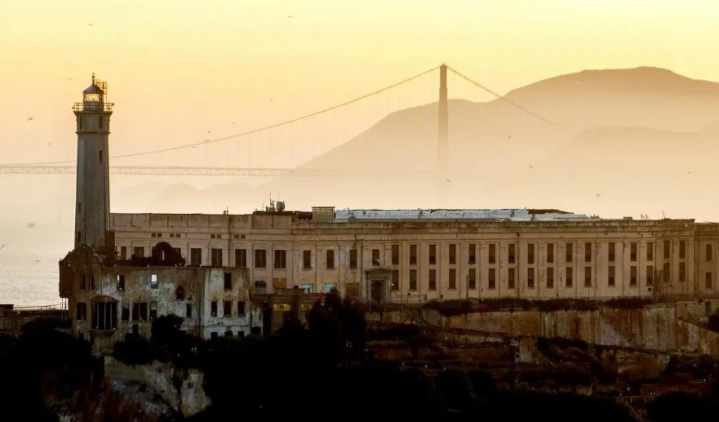 他又盯上了这个“网红岛”？  第4张