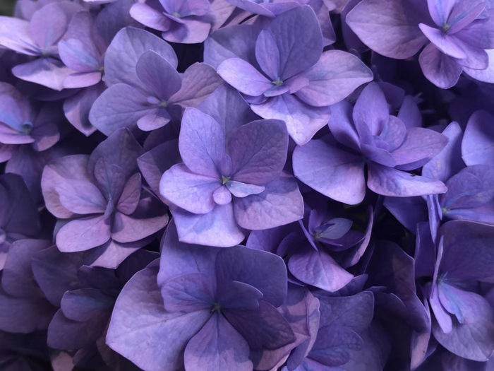 花开之处，便是故地  第27张