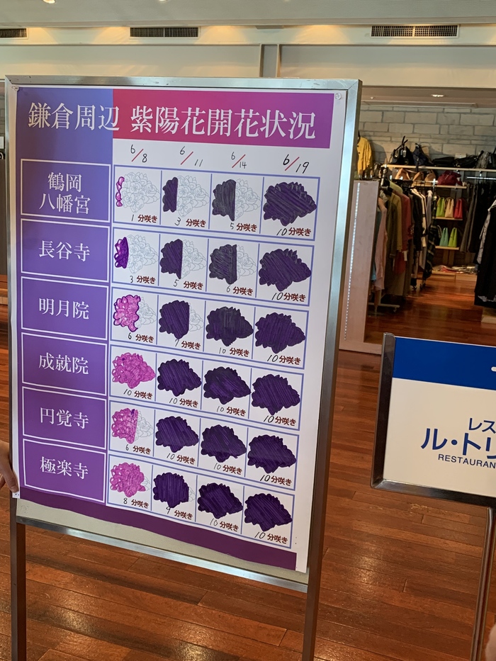 花开之处，便是故地  第31张