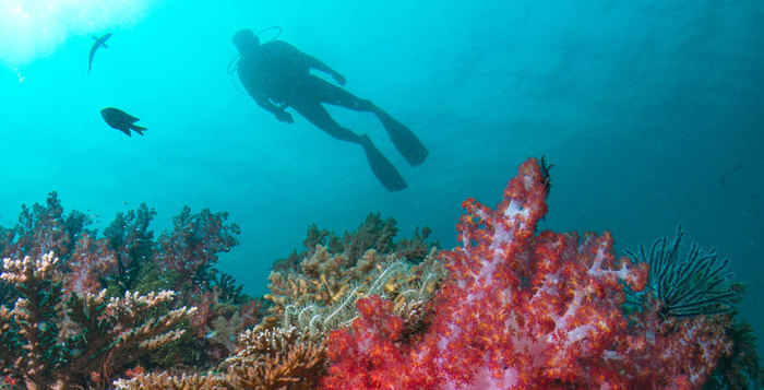 新加坡万态雨林悦榕庄4月亮相	，国泰航空开通乌鲁木齐航线 | 一周旅行指南  第4张