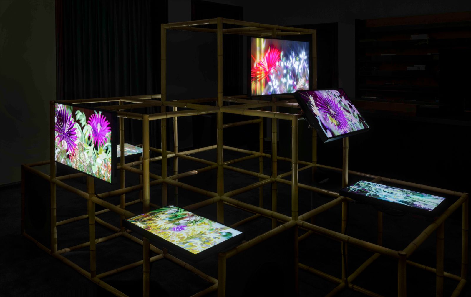 古驰在上海为竹节包举办展览，泡泡玛特盯上了《海绵宝宝》｜是日美好事物  第20张