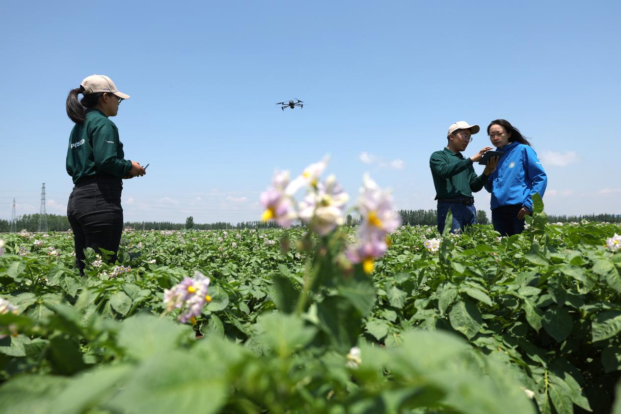 当智慧农场遇见绿色工厂：百事如何用科技留住春天的味道？  第1张