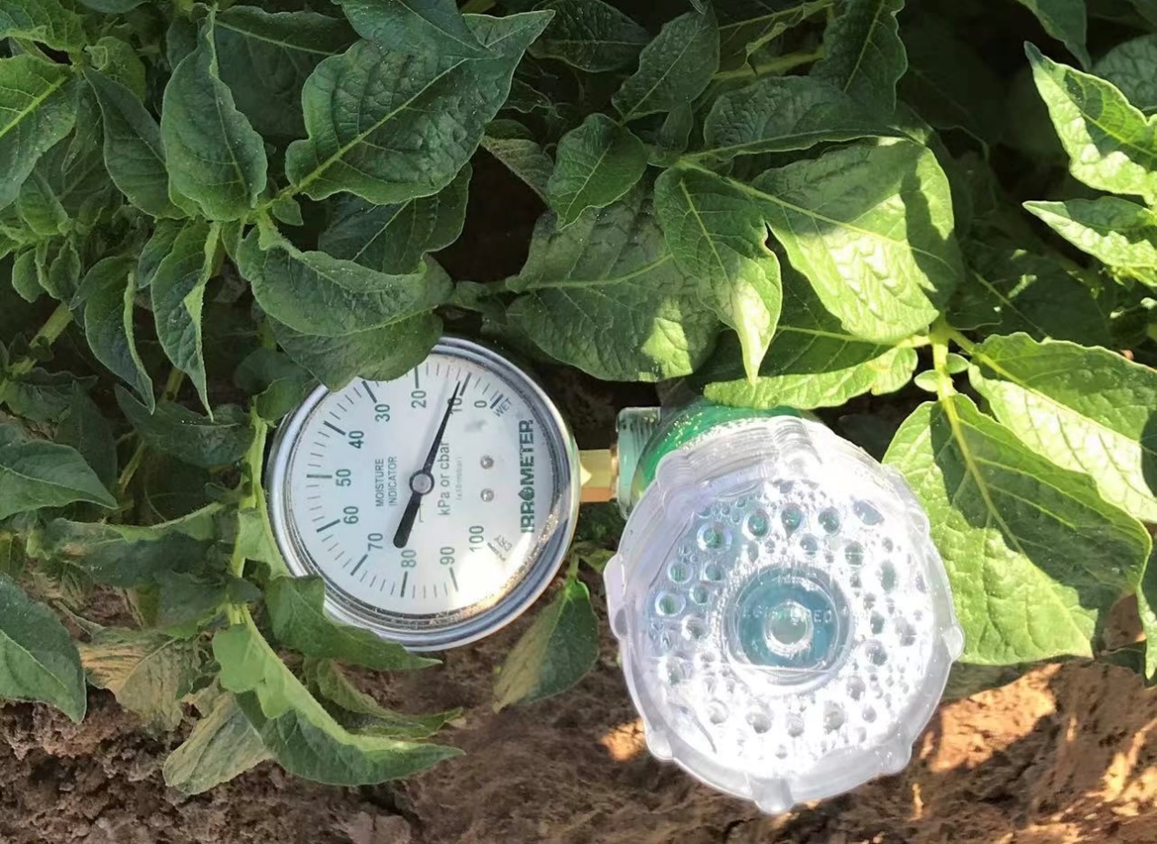 当智慧农场遇见绿色工厂：百事如何用科技留住春天的味道？  第2张