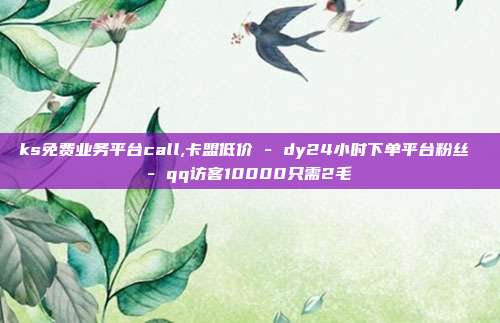 ks免费业务平台call,卡盟低价 - dy24小时下单平台粉丝 qq访客10000只需2毛  第1张