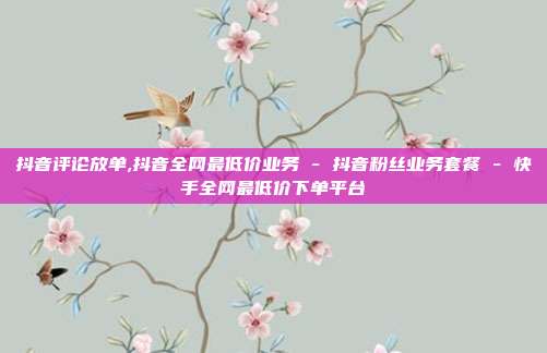 抖音评论放单,抖音全网最低价业务 - 抖音粉丝业务套餐 快手全网最低价下单平台  第1张