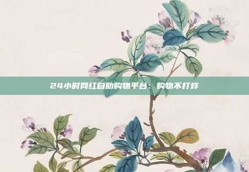 24小时网红自助购物平台：购物不打烊  第1张
