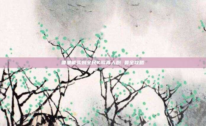 哪里能买到全民K歌真人粉 最全攻略  第1张