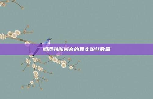 如何判断抖音的真实粉丝数量  第1张