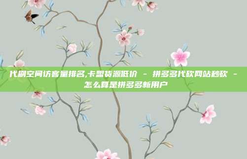 代刷空间访客量排名,卡盟货源低价 - 拼多多代砍网站秒砍 怎么算是拼多多新用户  第1张