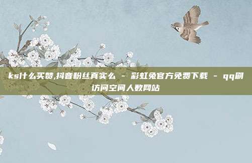 ks什么买赞,抖音粉丝真实么 - 彩虹兔官方免费下载 qq刷访问空间人数网站  第1张