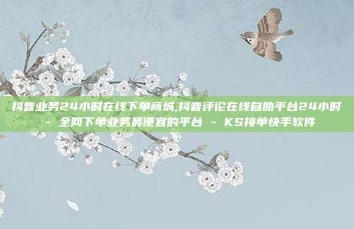 抖音业务24小时在线下单商城,抖音评论在线自助平台24小时 - 全网下单业务最便宜的平台 KS接单快手软件  第1张