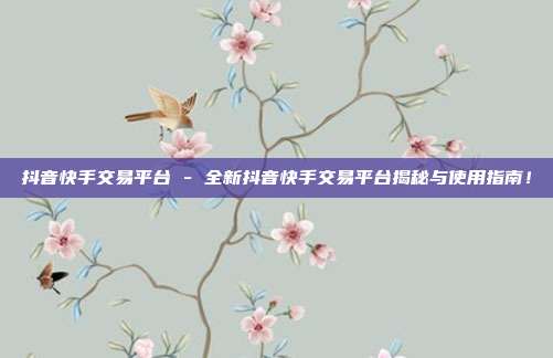 抖音快手交易平台 - 全新抖音快手交易平台揭秘与使用指南！  第1张