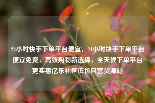 24小时快手下单平台便宜，24小时快手下单平台便宜免费	，高效购物新选择，全天候下单平台更实惠亿乐社区低价自营货源站  第1张