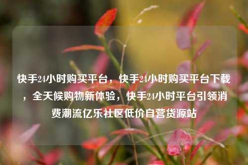 快手24小时购买平台	，快手24小时购买平台下载，全天候购物新体验，快手24小时平台引领消费潮流亿乐社区低价自营货源站  第1张
