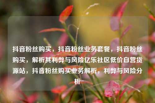 抖音粉丝购买	，抖音粉丝业务套餐，抖音粉丝购买，解析其利弊与风险亿乐社区低价自营货源站	，抖音粉丝购买业务解析，利弊与风险分析  第1张