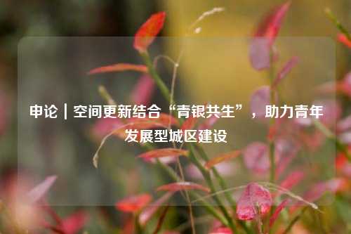 申论｜空间更新结合“青银共生”，助力青年发展型城区建设  第1张