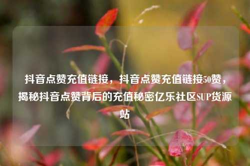 抖音点赞充值链接，抖音点赞充值链接50赞，揭秘抖音点赞背后的充值秘密亿乐社区SUP货源站  第1张