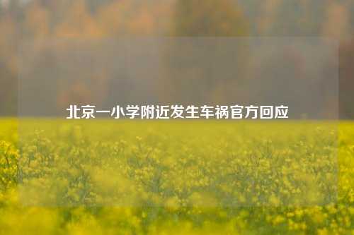 北京一小学附近发生车祸官方回应  第1张