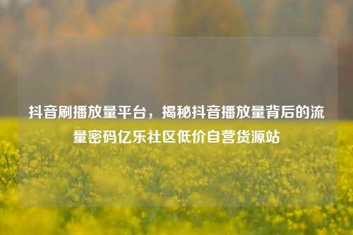 抖音刷播放量平台，揭秘抖音播放量背后的流量密码亿乐社区低价自营货源站  第1张