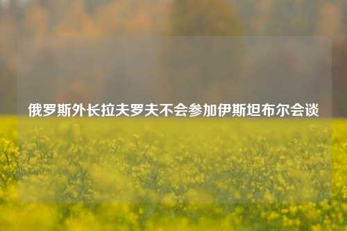 俄罗斯外长拉夫罗夫不会参加伊斯坦布尔会谈  第1张
