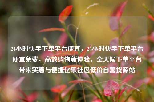 24小时快手下单平台便宜，24小时快手下单平台便宜免费，高效购物新体验	，全天候下单平台带来实惠与便捷亿乐社区低价自营货源站  第1张