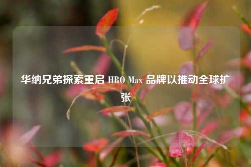 华纳兄弟探索重启 HBO Max 品牌以推动全球扩张  第1张 华纳兄弟探索重启 HBO Max 品牌以推动全球扩张  第1张