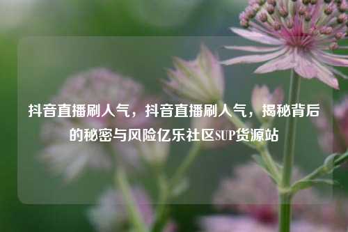 抖音直播刷人气，抖音直播刷人气，揭秘背后的秘密与风险亿乐社区SUP货源站  第1张