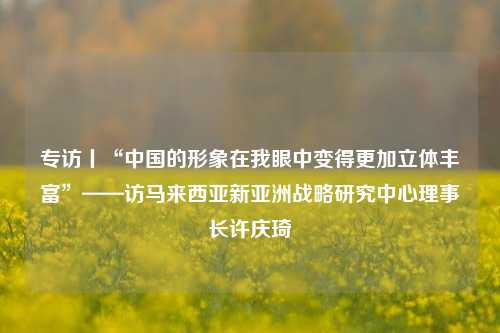 专访丨“中国的形象在我眼中变得更加立体丰富”——访马来西亚新亚洲战略研究中心理事长许庆琦  第1张